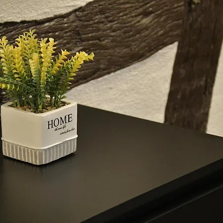 Stilvolle Altbauwohnung, Schlaf & Gut Apartamento Höhr-Grenzhausen